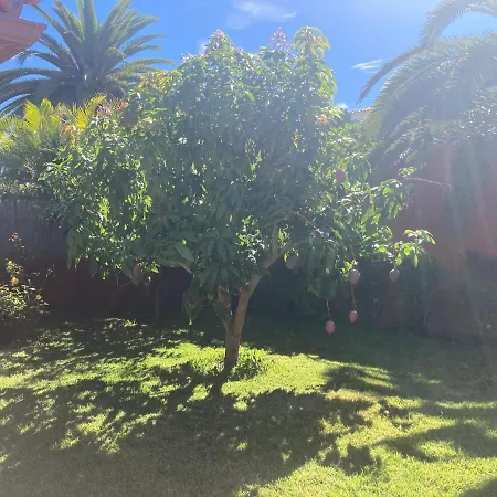 Xanadu Coliving Santa Ursula (Tenerife)